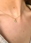Compass Rose Gold Plated Necklace