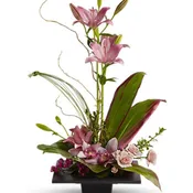 Imagination Blooms with Cymbidium Orchids