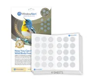 Modern Dots UV Window Decals - Performance Series
