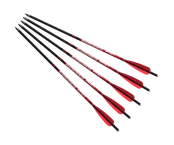 Barnett 20" Headhunter Crossbow Bolt, 5 pack