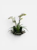 Double Orchid Bowl