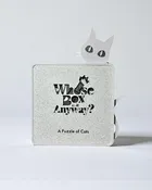 Whose Box is it Anyways? - Cat Puzzle