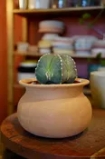 Clay Wash Pot | Maricopa Botanicals