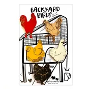 backyard birds