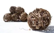 Grapevine Ball 12″ ( One Piece Wire Frame )