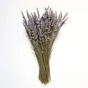 Dried French Lavender