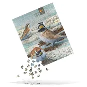 Horned Lark Puzzle
