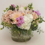 premium pinks