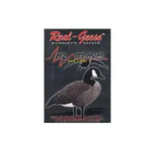Flatline Volume 2 DVD