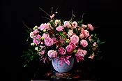 seasonal pinks mixed — MICHAEL GEORGE