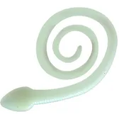 12" Sna-Koil