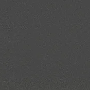 Awaken Spirit Pet Friendly Carpet