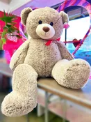 Extra Large Teddy Bear