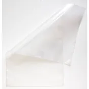 TDN Cash Bag 10" x 18" Case of 500