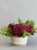 Roses — IXIA