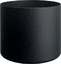Black Cylinder  — Roswell Interior Plants