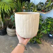 6” White Clay Pot — Urban Planting Cleveland