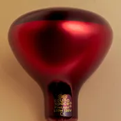 FireLight Infrared Bulb (B-Grade)