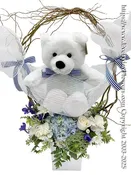 Baby Boy Flowers With Stuffed Animal