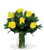 6 Yellow Long Stem Roses