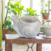 SNAIL PLANTER