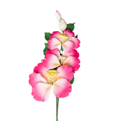 10" Camelia Orchid Spray - Pink