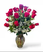 AFRODITIS BEAUTIFUL ROSES
