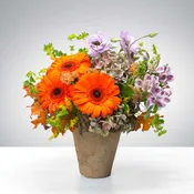 Little Flower Pot by BloomNation™