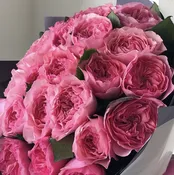 Garden Roses