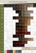 AMORE COLORE Paper Color Chart