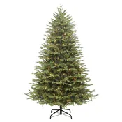 7.5′ Northern Fir
