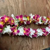 leis #27