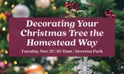 Christmas Tree – 11/21 – Severna Park