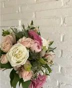 BLUSH AND BASHFUL