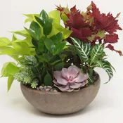 tabletop garden