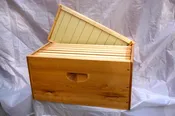 8 Fr Cypress Hive Bodies, Assembled and/or with Frames and Plasticell Foundation