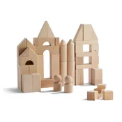 Basic Building Blocks 60 Piece Large Starter Set