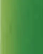 Candy Medium Green Lifetone Paint