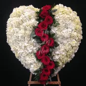 Broken Heart Sympathy