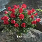 2 Dozen Red Roses