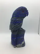 Lapis Lazuli Parrot