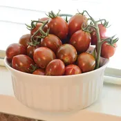 Chocolate Sprinkles Tomato