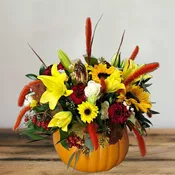 Orange Pumpkin