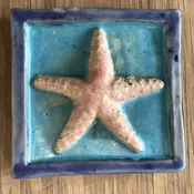 Starfish Tile (4" x 4" glazed terra cotta) — Clay Trout Pottery