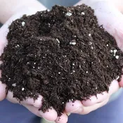 Professional Potting Mix – 3 cf bag