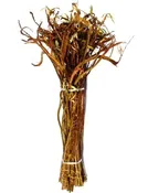 Fantail Willow Small 30"-36"