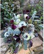 ANEMONE MOODS