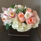 peachy palette