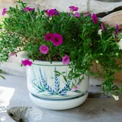 7 Inch Ring Planter