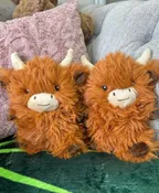 A COUPLE OF BABY COWS